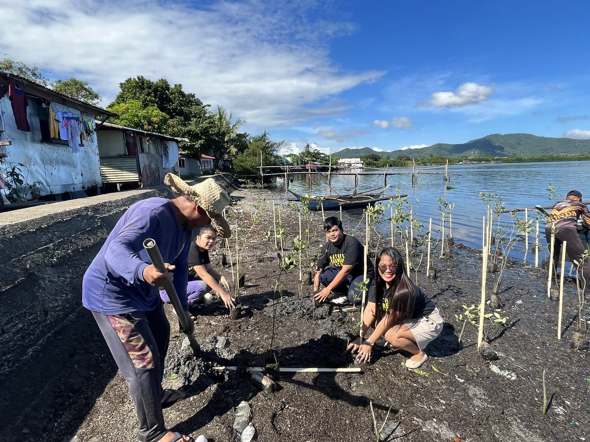 KathNiel KaDreamers World x KaDreamers Tacloban Chapter presents: PUNONG-PUNO: BAKA-ONE2 🌱

Successfully planted 525 mangrove seedlings in celebration of KathNiel &amp; KaDs 12th Anniversary! 

📌 With the help of PATFIMELPSECO &amp; Fisherfolks at Brgy 86 Tac. City!

#12YearsOfKathNiel