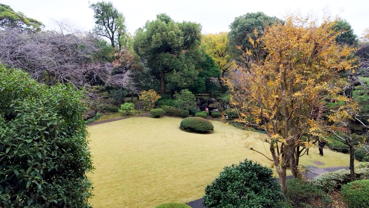 cygnus_wing's tweet photo. 三番町共用会議所。山縣有朋邸跡。
庭園はそんなに広くはないものの、池や芝生など趣がある。
防犯や視線を遮るためか外周部は常緑樹が多く、内側の少ない落葉樹で秋冬の季節感を頑張ってる感じ。
竹製のカラーコーン・コーンバーがお洒落。 https://t.co/BLGruFabOX