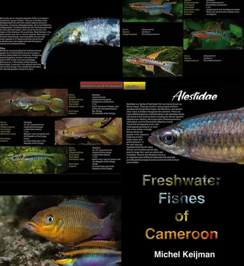 A limited number of 'signed copies' of the Freshwater Fishes of Cameroon, the brand new book by Michel Keijman are available right now for 'PRE-ORDER' on my website! They're selling fast... cefishessentials.com/product/the-fr…