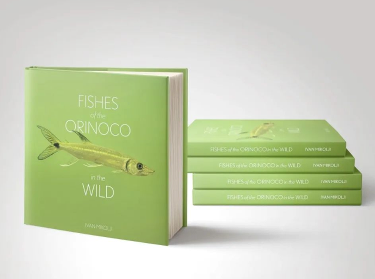 See below the surface of the Orinoco River, its lakes, and tributary streams, and get an up-close look at the freshwater fish species that live there; a one-of-a-kind book! Available for worldwide shipping right now. cefishessentials.com/product/fishes…