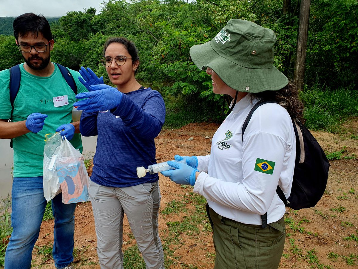 Alexandre Aleixo tweet media