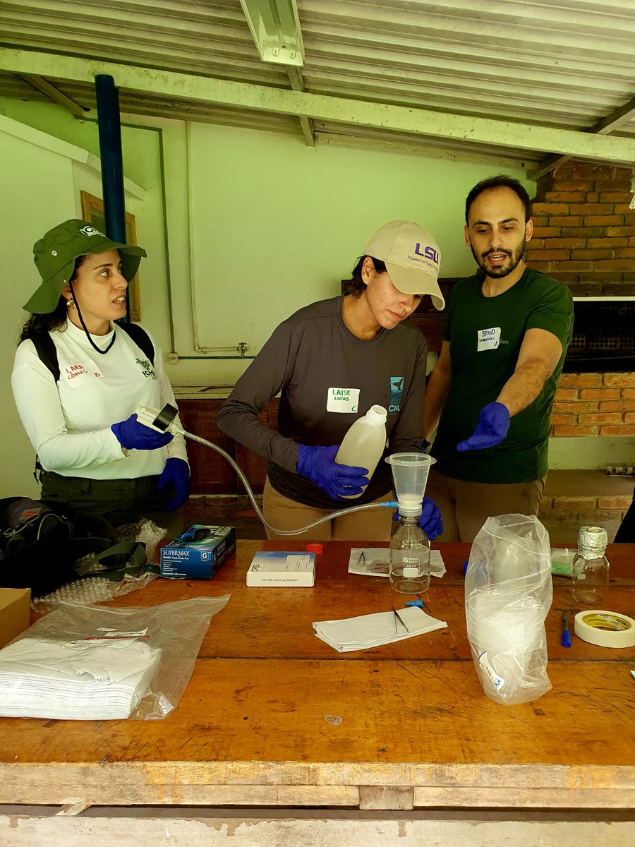 Alexandre Aleixo tweet media