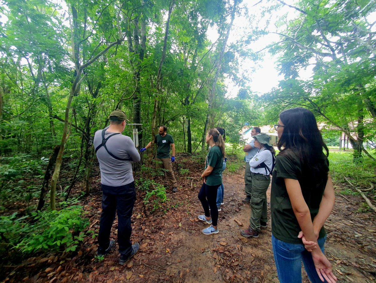 Alexandre Aleixo tweet media