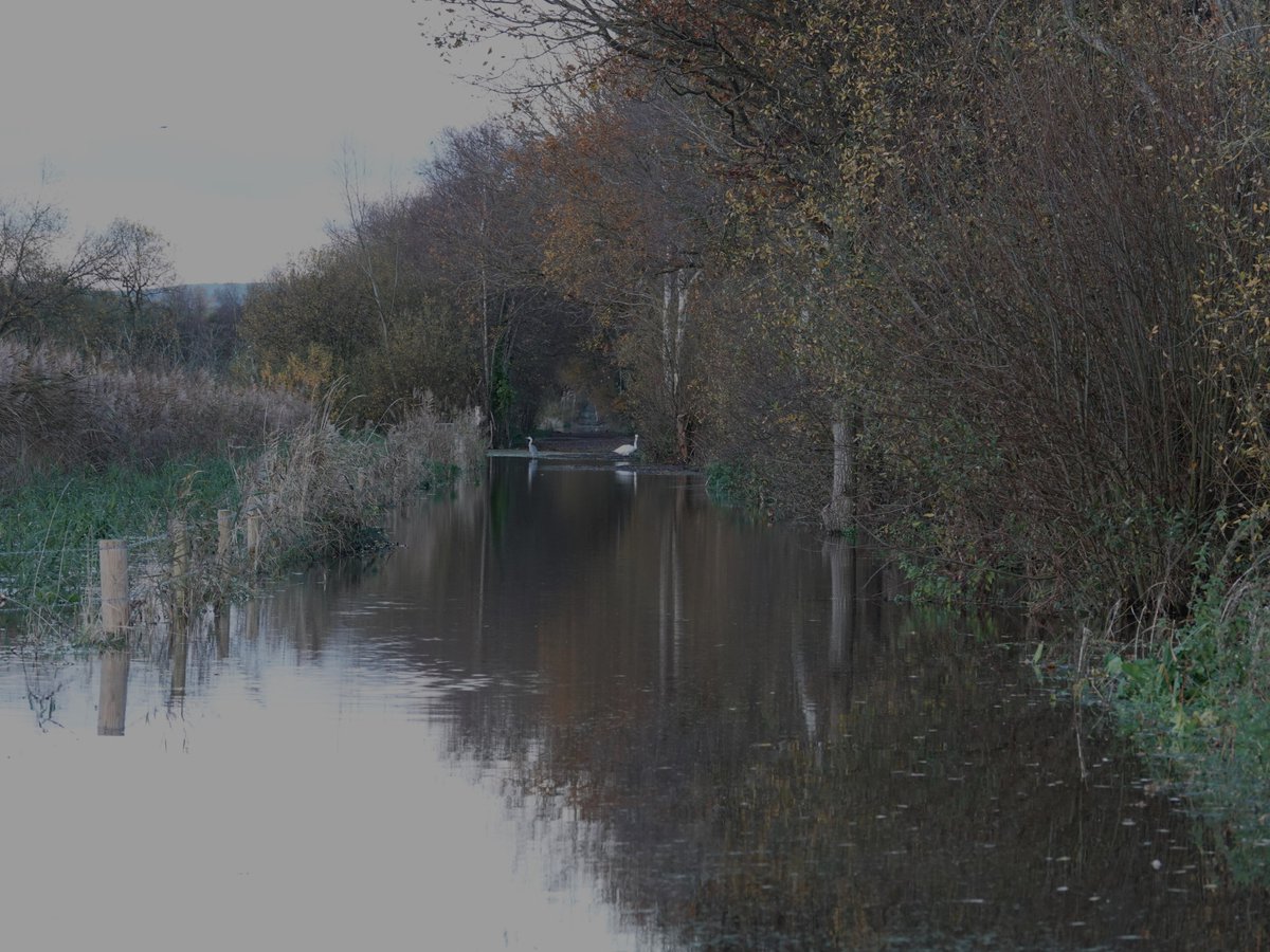 alan ashman tweet media