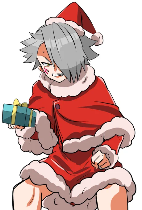 おまえも着るんだよクリスマスだよほら御朱印