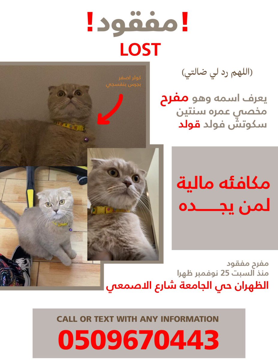 ⁺yosy₊ (@iyosyi) on Twitter photo 