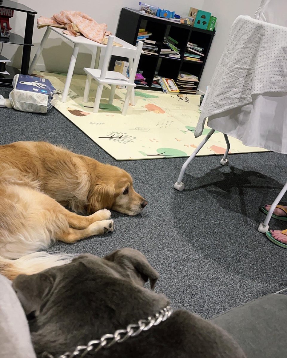 Jess Archer tweet media