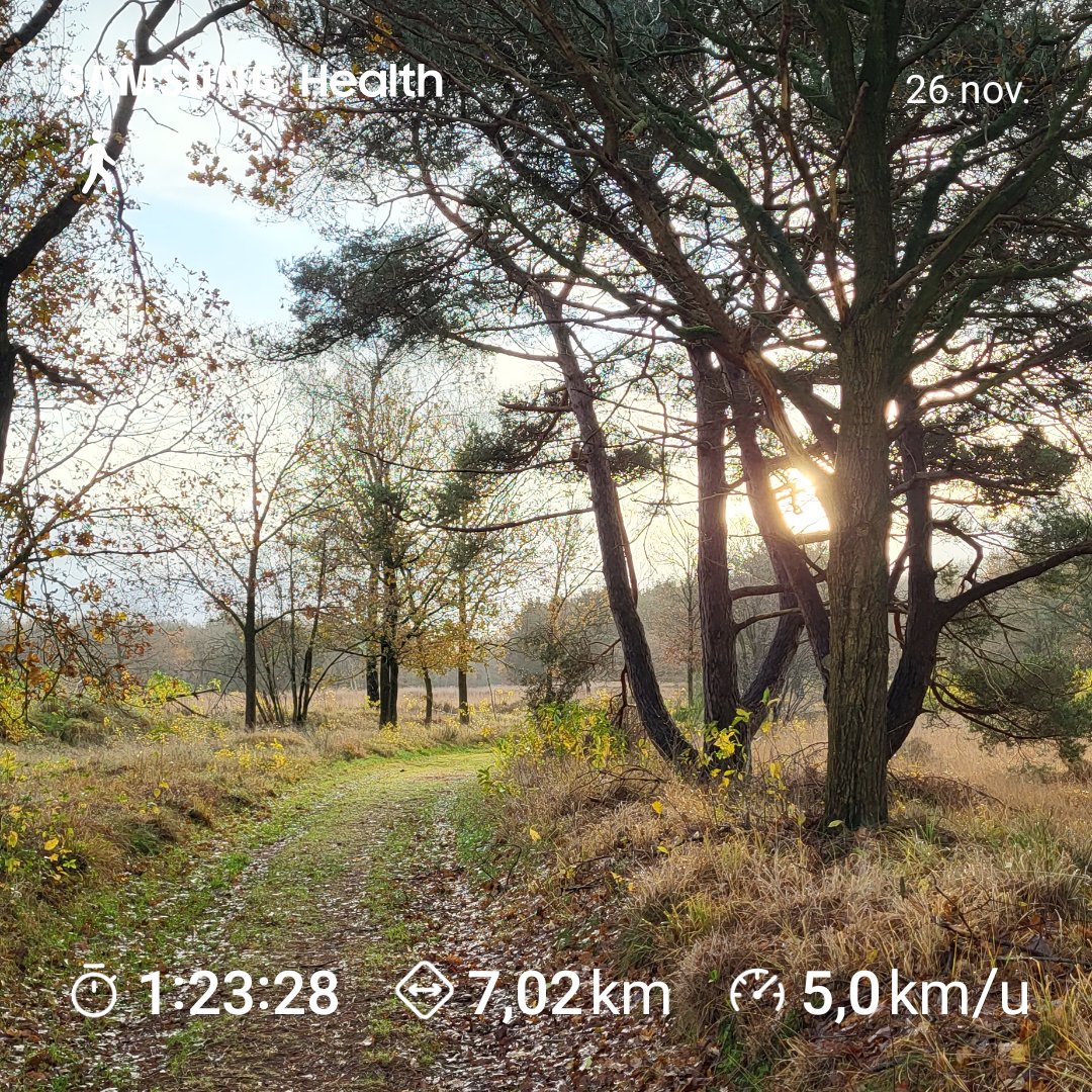 Joostdlc's tweet photo. Herfstwandeling op De Eese https://t.co/YqzMJ2t4Dp