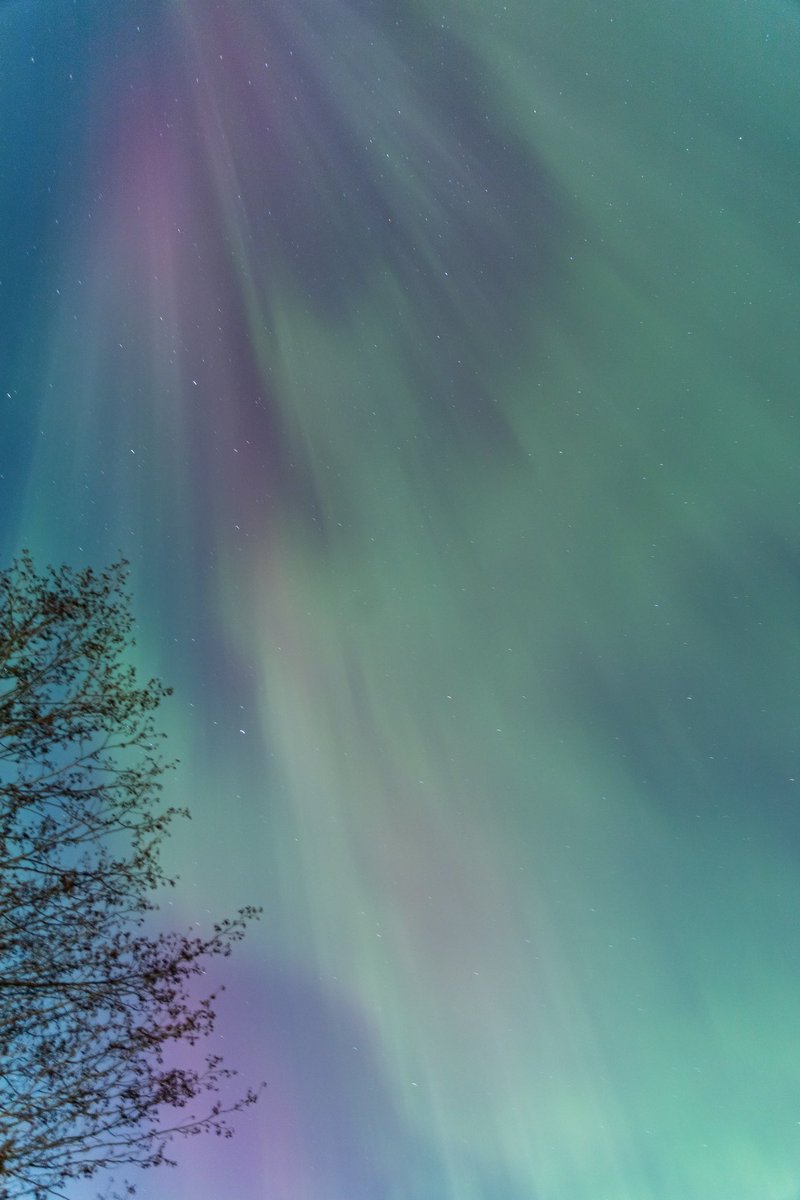 _aditibhatnagar's tweet photo. Best thing about early sunsets in the North- #Aurora is visible as soon it gets dark! #Oslo got a good share of overhead aurora last night, first time in the past 3 years😍
@astrofysikk @RoCS_UiO 
@TweetAurora 

#Spaceweather #northernlights #Canon6dmarkii https://t.co/v3UQjZlci3