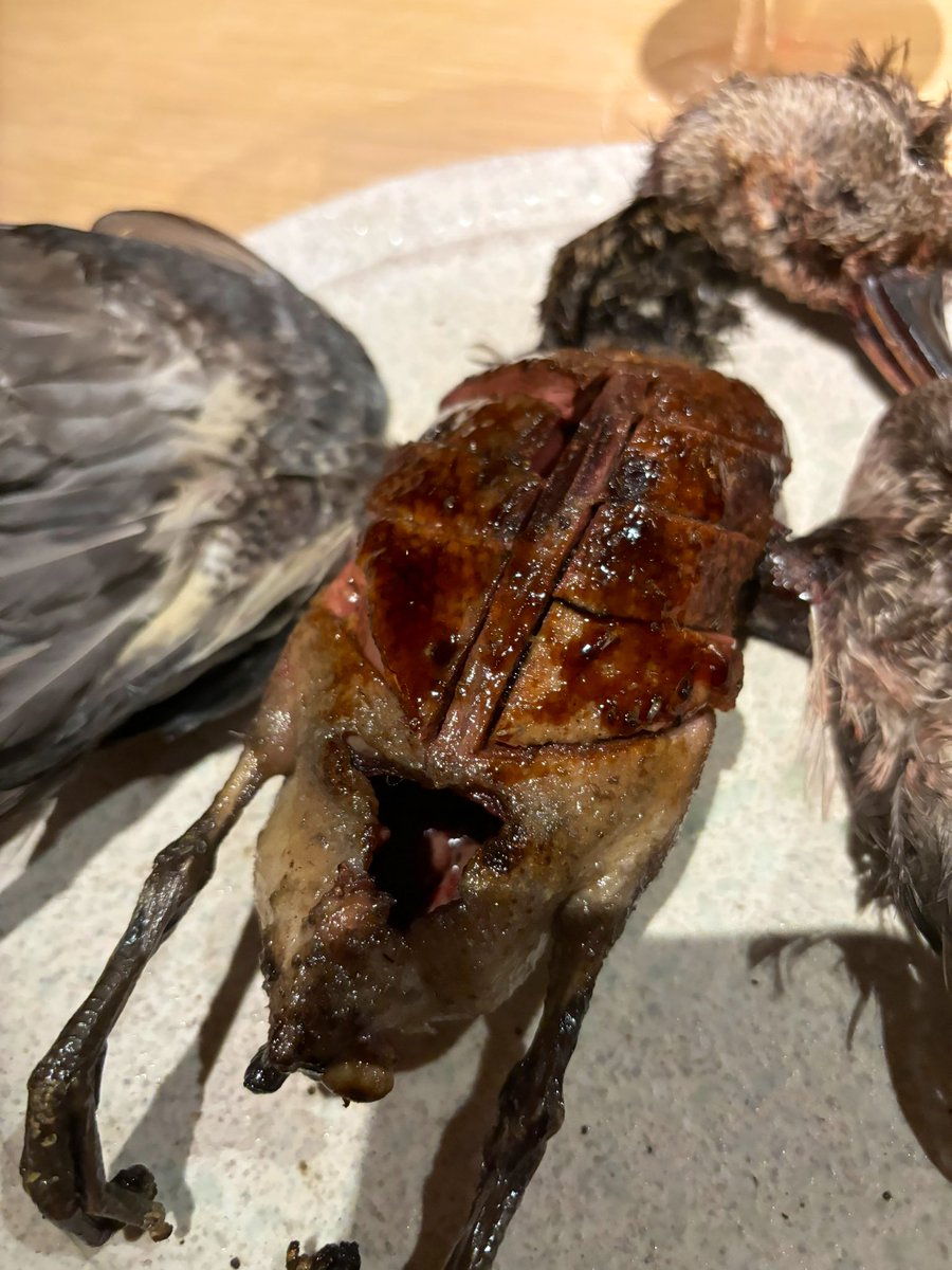 EVernacci's tweet photo. Más allá de presentaciones que a unos fascinarán y a otros espantarán, ahí no hay una verdad absoluta, es muy remarcable la calidad de los bichos y el punto perfecto que recibe el asado.
Tremendo Noma. https://t.co/eNdXtXmaqF