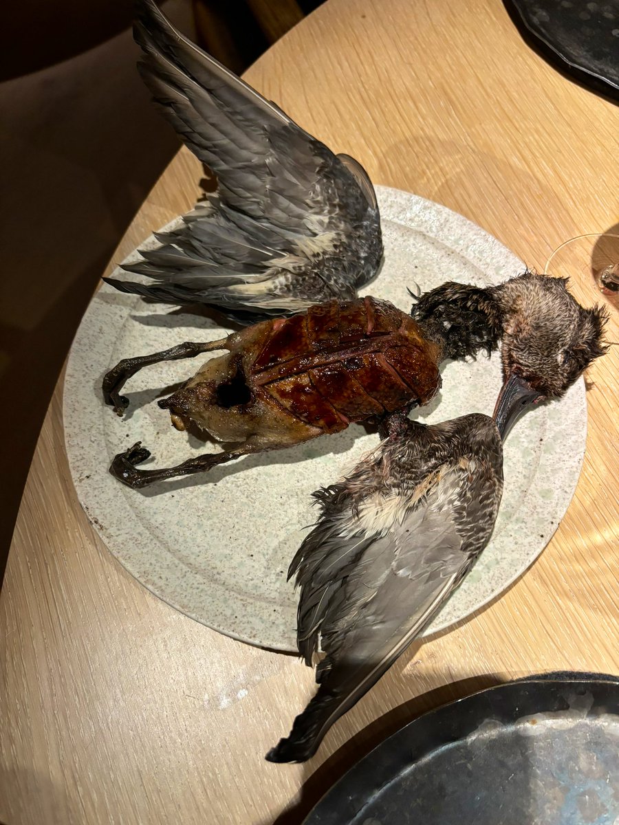 EVernacci's tweet photo. Más allá de presentaciones que a unos fascinarán y a otros espantarán, ahí no hay una verdad absoluta, es muy remarcable la calidad de los bichos y el punto perfecto que recibe el asado.
Tremendo Noma. https://t.co/eNdXtXmaqF