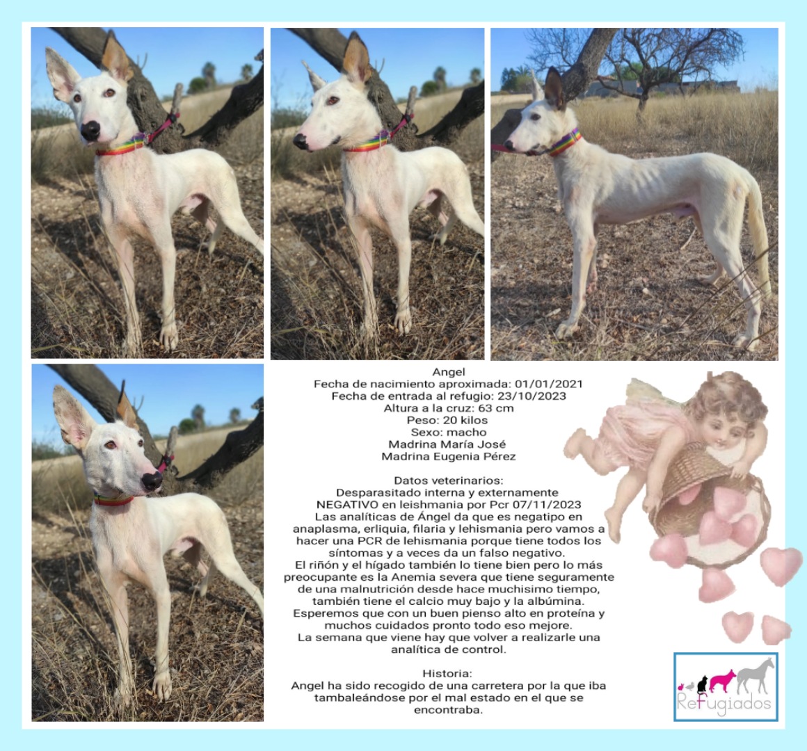 Angel
facebook.com/media/set/?set…