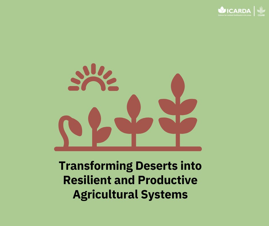 ICARDA's tweet photo. 🌱 #IDFIP leads in building climate-resilient agri-food systems!

By integrating evidence-based agri innovations, focusing on water &amp; energy management, agro-biodiversity optimization, and land rehabilitation, we combat harsh desert farming conditions.
👉 https://t.co/vzrufOOvlJ https://t.co/e5PTyN3VFw