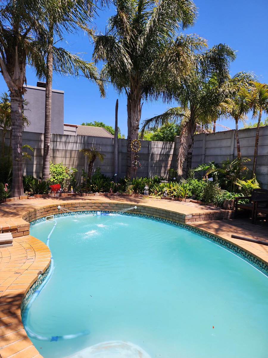 Lovely day in Cape Town, who is up for a swim? #Summer #Capetown #Blessed