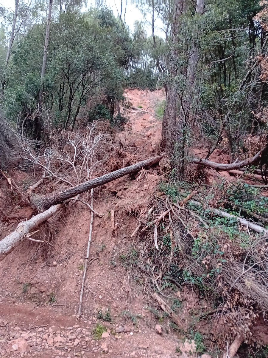 Conseqüències de la sequera