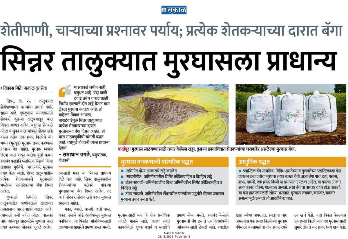 InfoNashik's tweet photo. #सिन्नर तालुक्यात मुरघासला प्राधान्य
शेतीपाणी, चाऱ्याचा प्रश्नावर पर्याय; प्रत्येक शेतकऱ्याच्या दारात बॅगा
#Nashik #drought #animals #grass 
@USDA @AGROWON @Agrowon1 https://t.co/6bxym53t5z