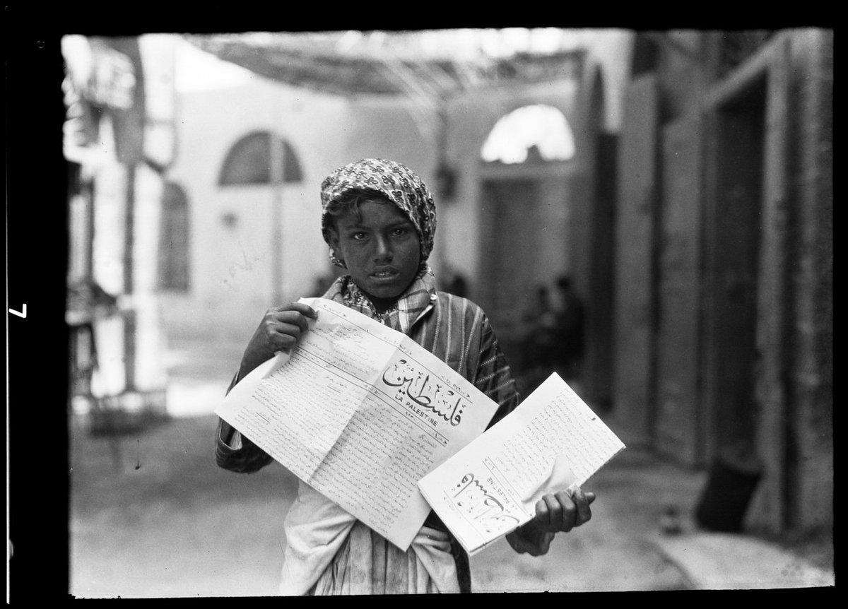 NVICairo tweet media