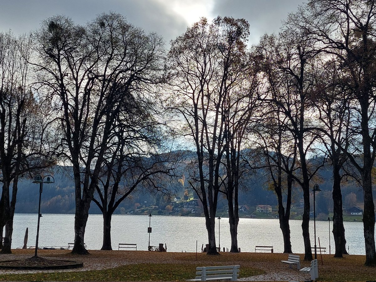Alessa2409ca 🇦🇹 (@layla2409ca) on Twitter photo 