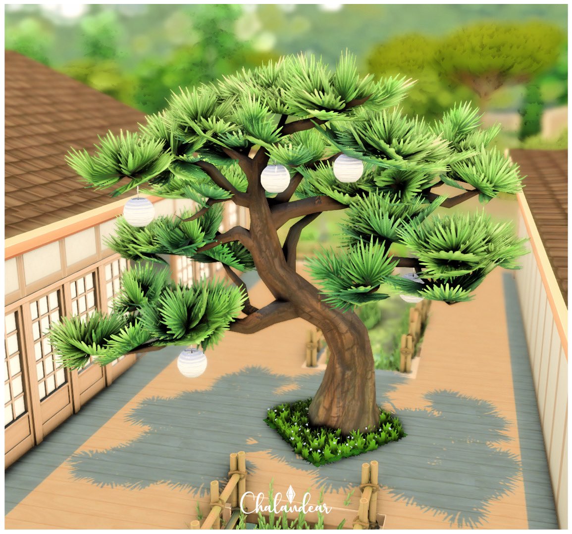 Chalandear's tweet photo. ๐The sims 4 Japanese Pine Tree & Base game Lights
#thesims #thesims4 #เนเธเธญเธฐเธเธดเธกเธชเน4 #sims4 #simsbuild #thesimsthailand #simstips #simstutorial #simsbuildideas https://t.co/mbdyoAmwyb