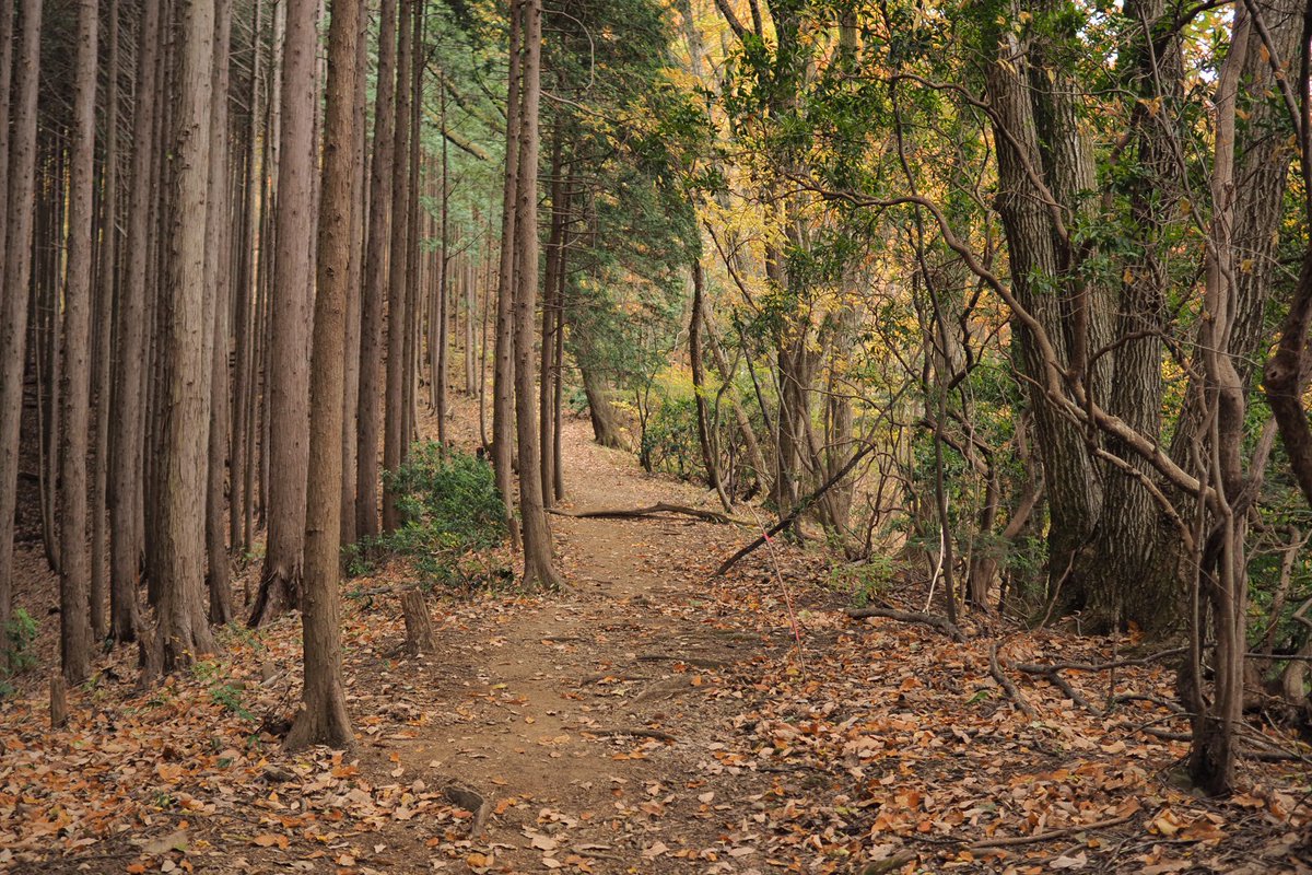 K_Nanana's tweet image. 古里駅から御岳山ルートの登山
寒かったけど従兄弟のやってる豆屋さん（@CroasterSelect ）のコーヒーであったまりました！