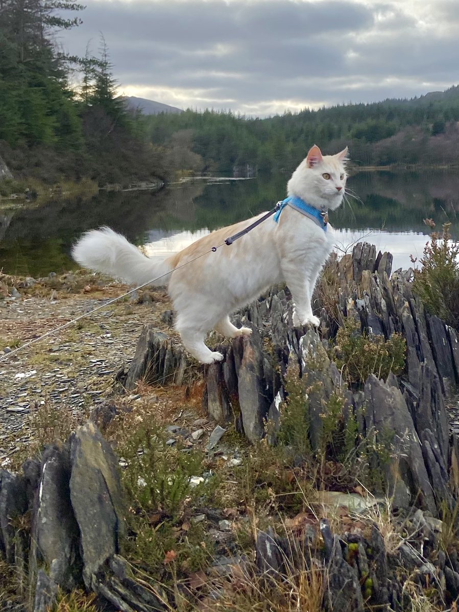 Dr Juliet Turner tweet media