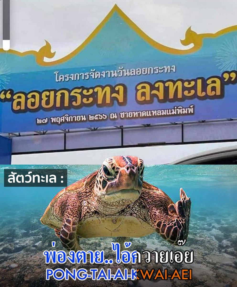 คาราโอเกะชั้นใต้ดิน (@basementkaraok1) on Twitter photo 