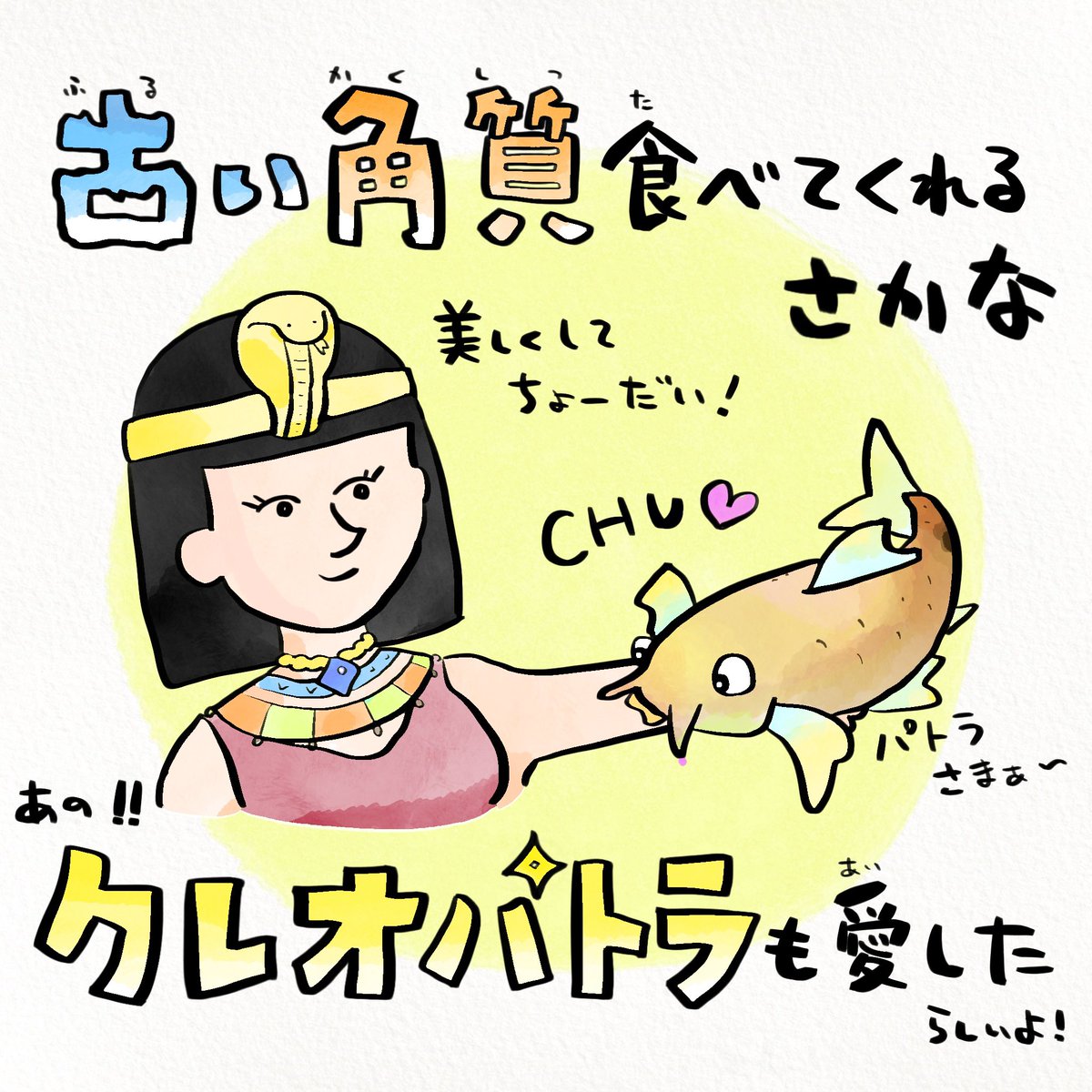 トルコの温泉にいるドクターフィッシュ #風呂の日