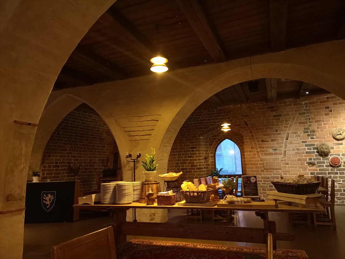 A really dynamic and fruitful meeting with the Swedish Melanoma Study Group (SMSG) in stormy and cold Vadstena, the cradle of Sweden, this week. Loved it!
Ancient buildings and monastery ruins are abundant here. We even had meals in the 13th century throne hall of King Valdemar!