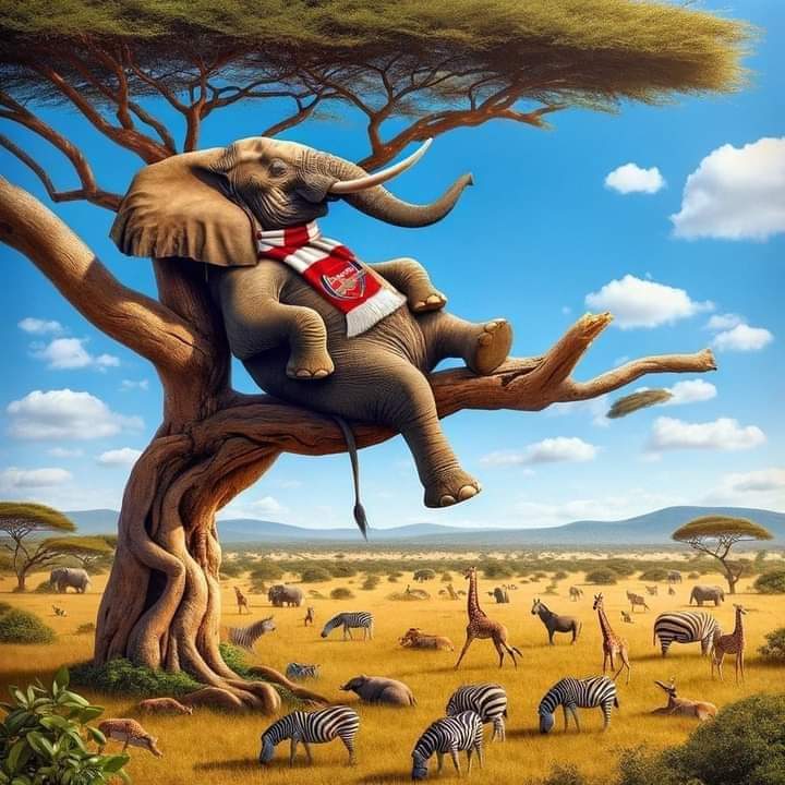 Ummi_Jidder's tweet image. Magana ake ta Arsenal a saman teburi. To me ya hwaru?? 😂😂🤣