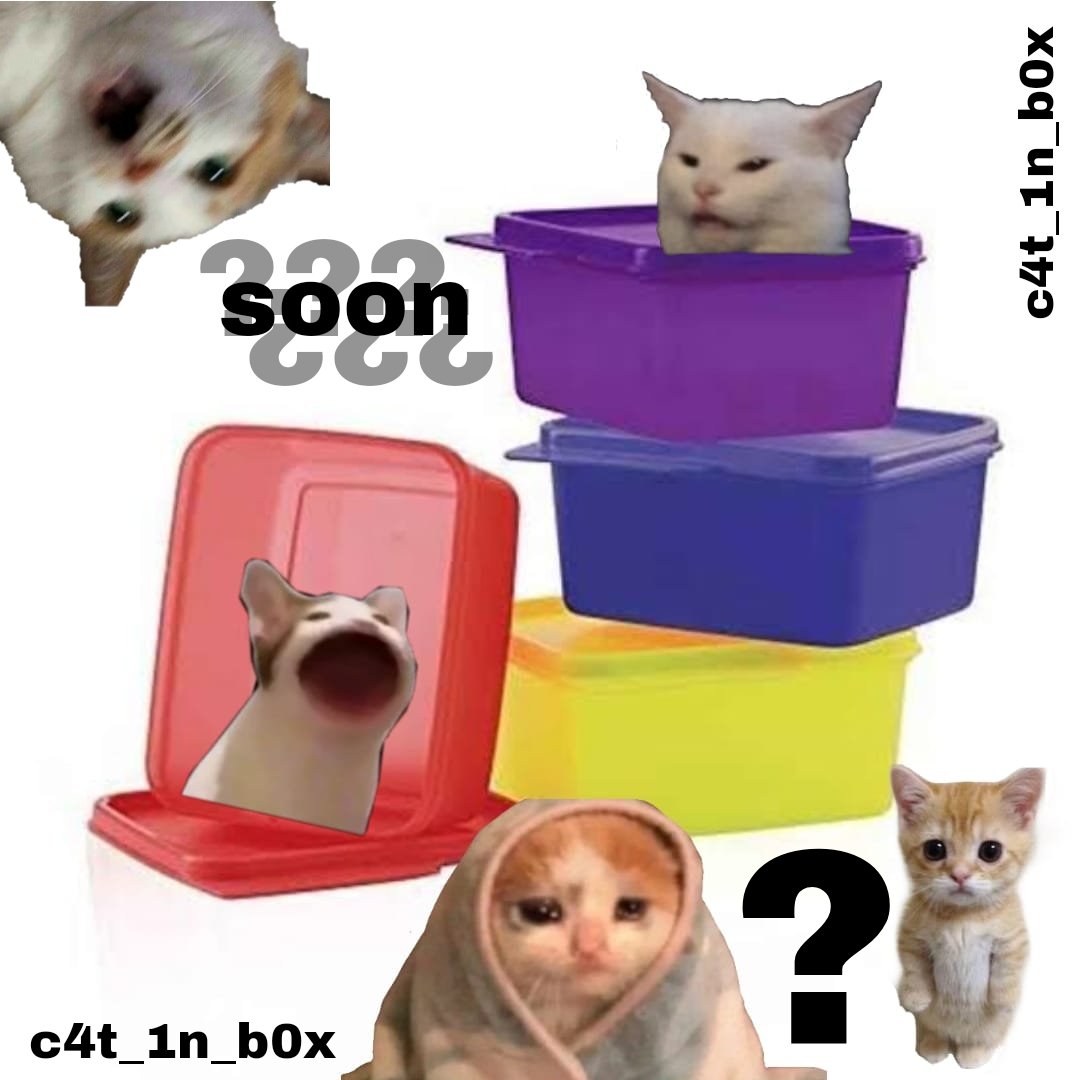 c4t_1n_b0x's tweet photo. ??? c4t _ 1n _ b0x ???
                                                          ??? c4t _ 1n _ b0x ??? https://t.co/h6ShoFTfGo