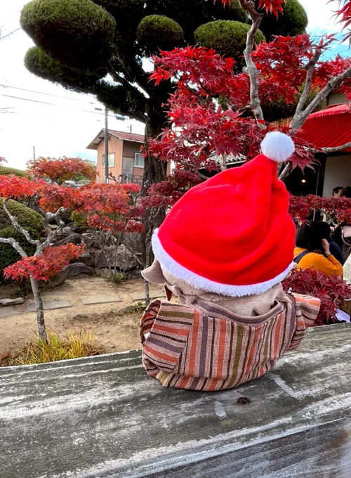 #1000人の金田一耕助#千金 横溝正史疎開宅の紅葉の美しさを鑑賞しつつ、顔出しパネルにはまる耕ちゃんぬい(『扉の影の女』Ver.ことクリスマス仕様) 