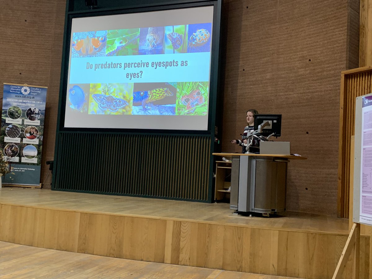 Our next speaker is Olivia Rose - Do predators perceive eyespots as eyes? 👀🦋