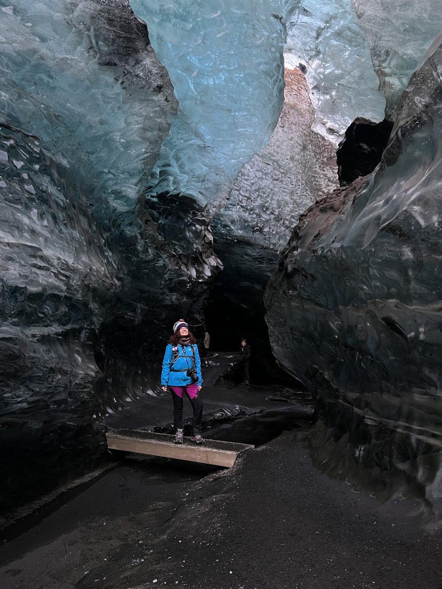 Judith Anton tweet media