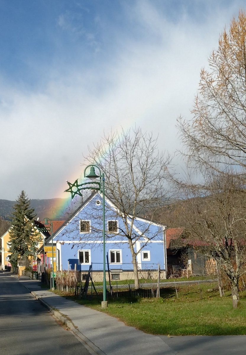 #hedgewatchforlucy
We send you all the love and prayers in this hard time!
The 🌈 bridge can be everywhere and they sit on the other side and watch over us until we meet again! They are always with us!