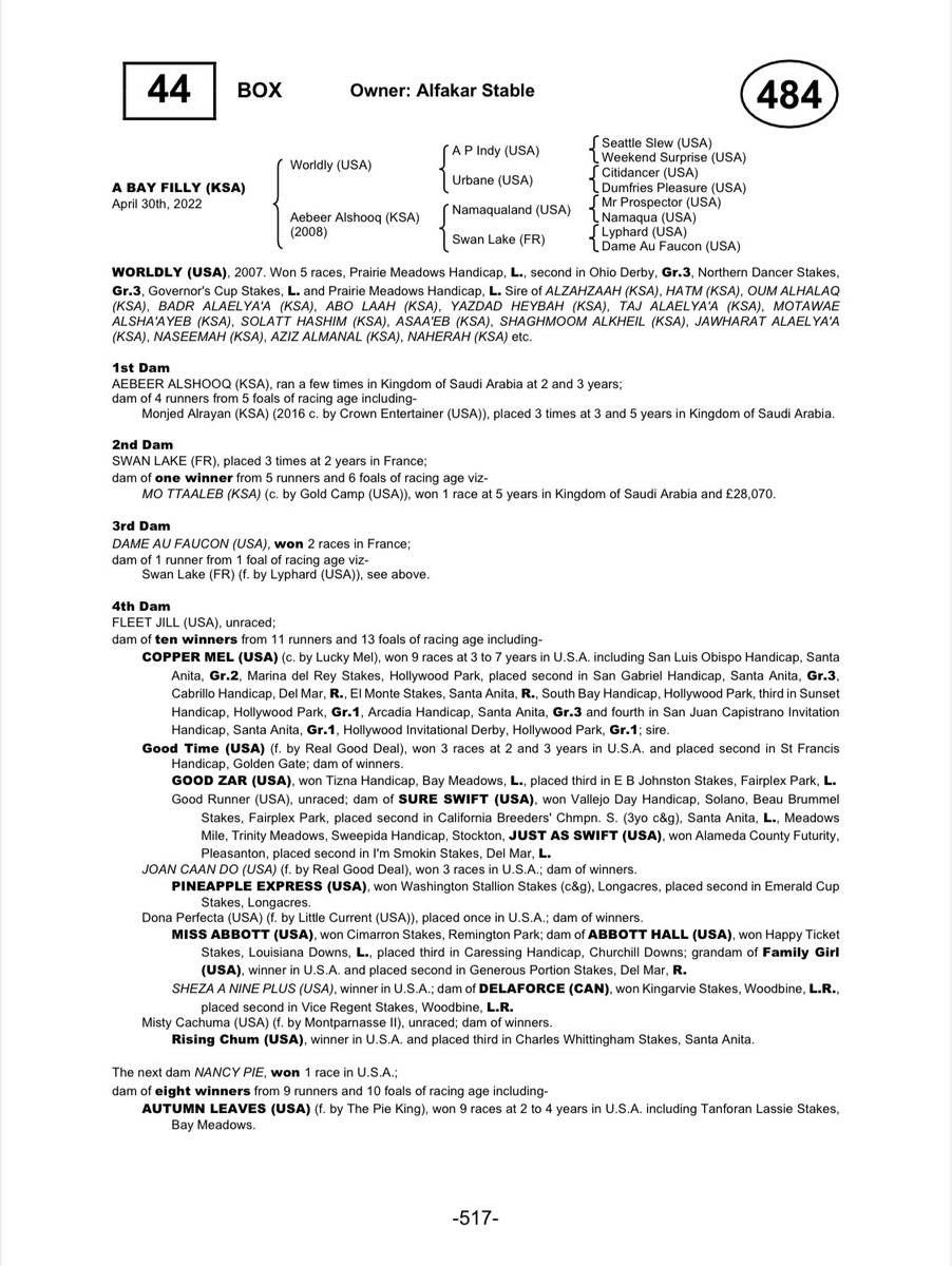 الاجدل tweet media