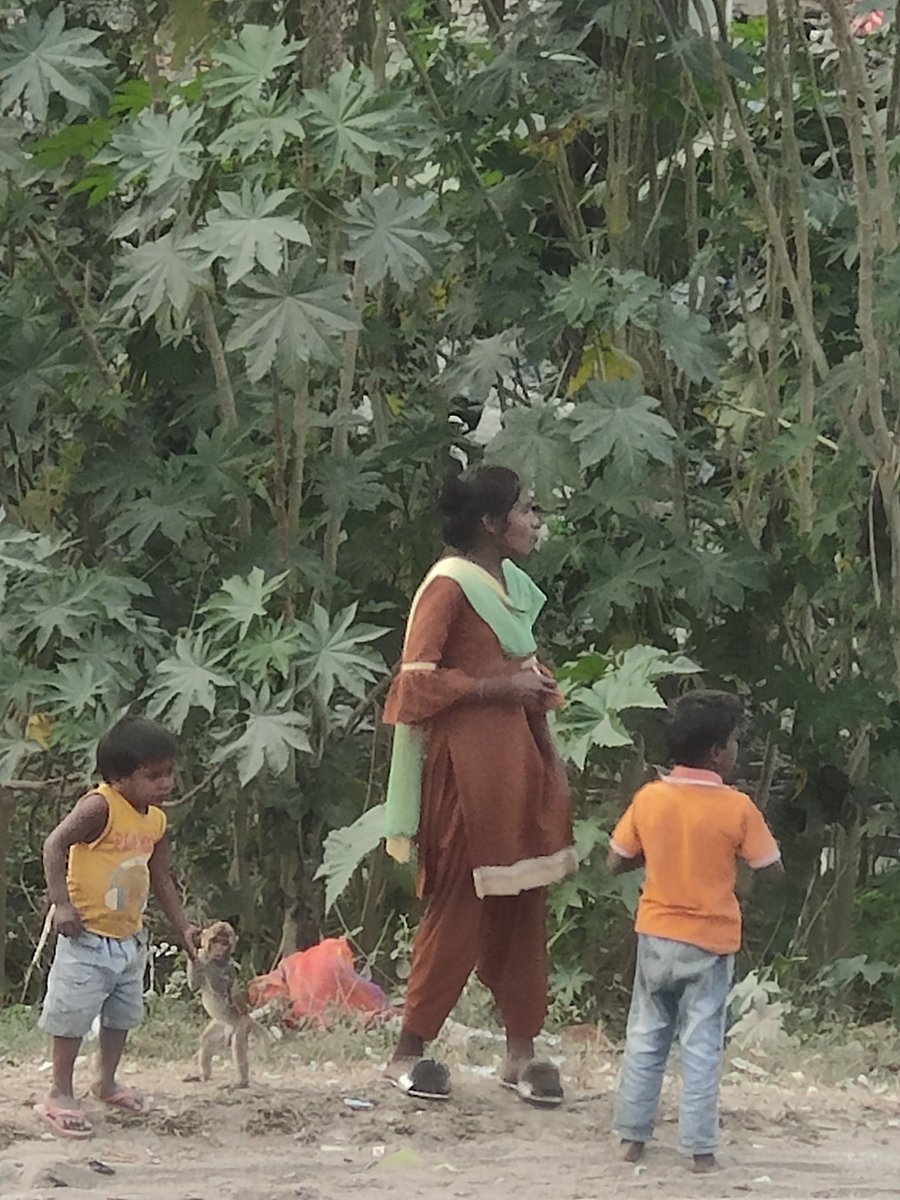 kktushar1998's tweet photo. @FIAPOIndia Tiny monkey tied in iron chains. I daily see these kids playing with him... More like torturing him. Please rescue this monkey &amp; let him be free &amp; live in his own habitat. Location : Mahewaganj, slum area,Lakhimpur-kheri,Uttar Pradesh. https://t.co/vYoWWqpVQC