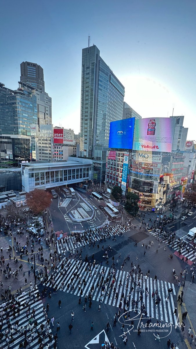 Streaming.HR tweet media