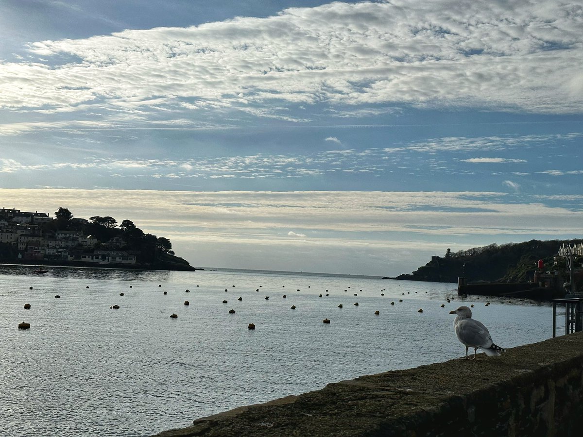 Emma Inch tweet media