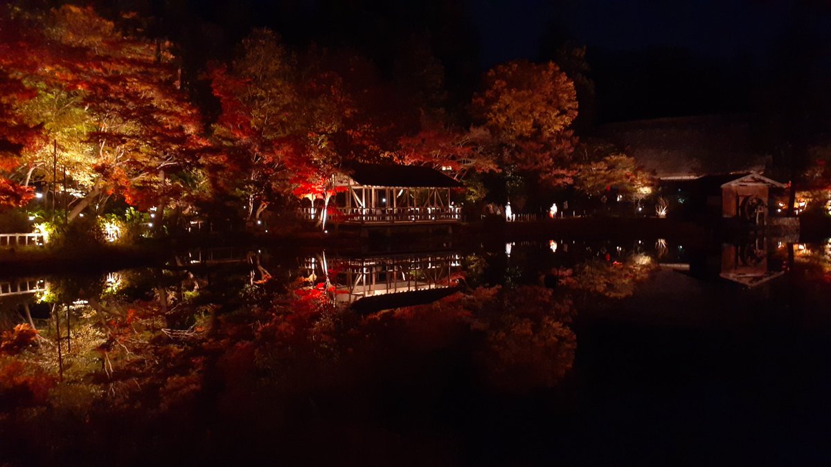 existence21's tweet photo. めっちゃキレイだった～🍁 https://t.co/54Zk4GMuqV