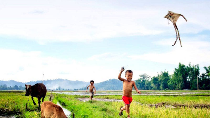 John Silvis tweet media