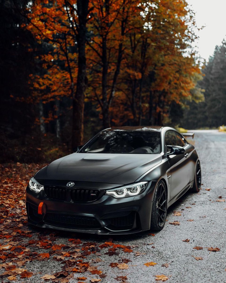 Onlycarsgasm's tweet photo. BMW M4 🍂 https://t.co/fiV64yYKij