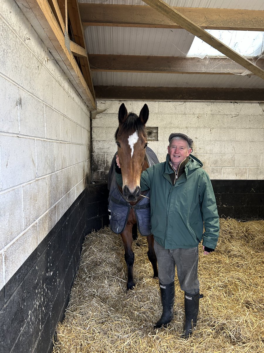 Today we say goodbye to our old warrior Safe Voyage who heads off in to retirement. The winner of £630k, his role of honour includes:
⁃G2 City Of York Stks
⁃G2 Boomerang Mile
⁃G3 John Of Gaunt Stks
⁃X3 Listed wins 
⁃Ahonoora Handicap
⁃X2 G1 placed (Foret &amp; QEII)