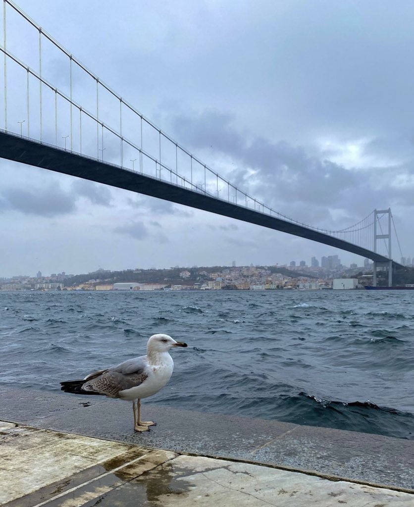 SAinTurkiye's tweet photo. 🚩 قصر بيلار بيه Beylerbeyi Sarayı بمنطقة اسكودار في اسطنبول 

🎫 تذكرة الدخول: 130 ليرة للأجانب 

⏱9ص - 5م 
✖️ الاثنين مغلق 

📍 https://t.co/MZTf7tP1m6 https://t.co/nrOVVcVs2Z