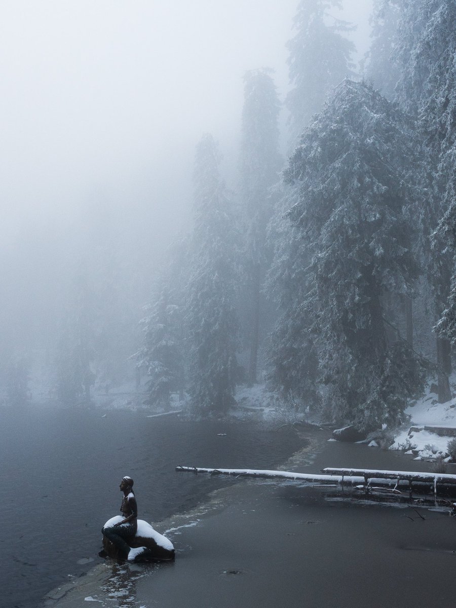CedricSchell's tweet image. Aujourd’hui, j’ai réalisé une belle petite rando, à moins d’une heure de Strasbourg.