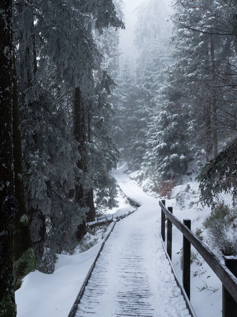 CedricSchell's tweet image. Aujourd’hui, j’ai réalisé une belle petite rando, à moins d’une heure de Strasbourg.
