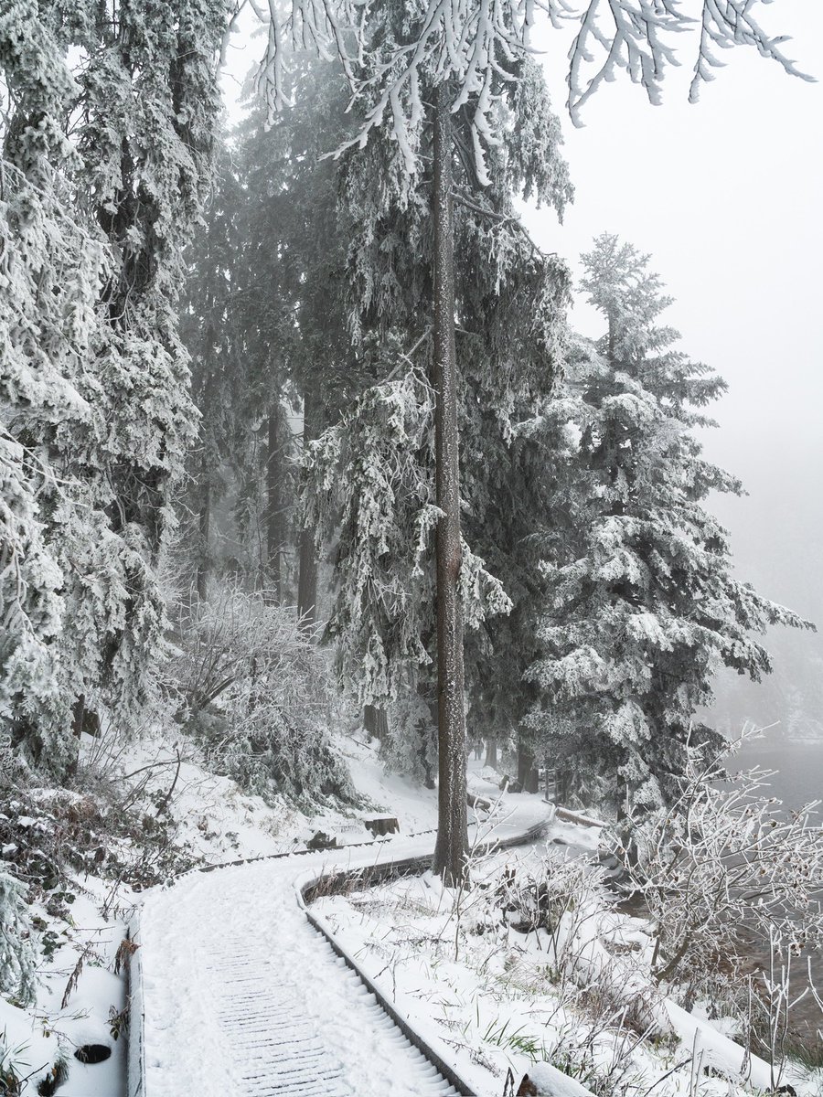 CedricSchell's tweet image. Aujourd’hui, j’ai réalisé une belle petite rando, à moins d’une heure de Strasbourg.