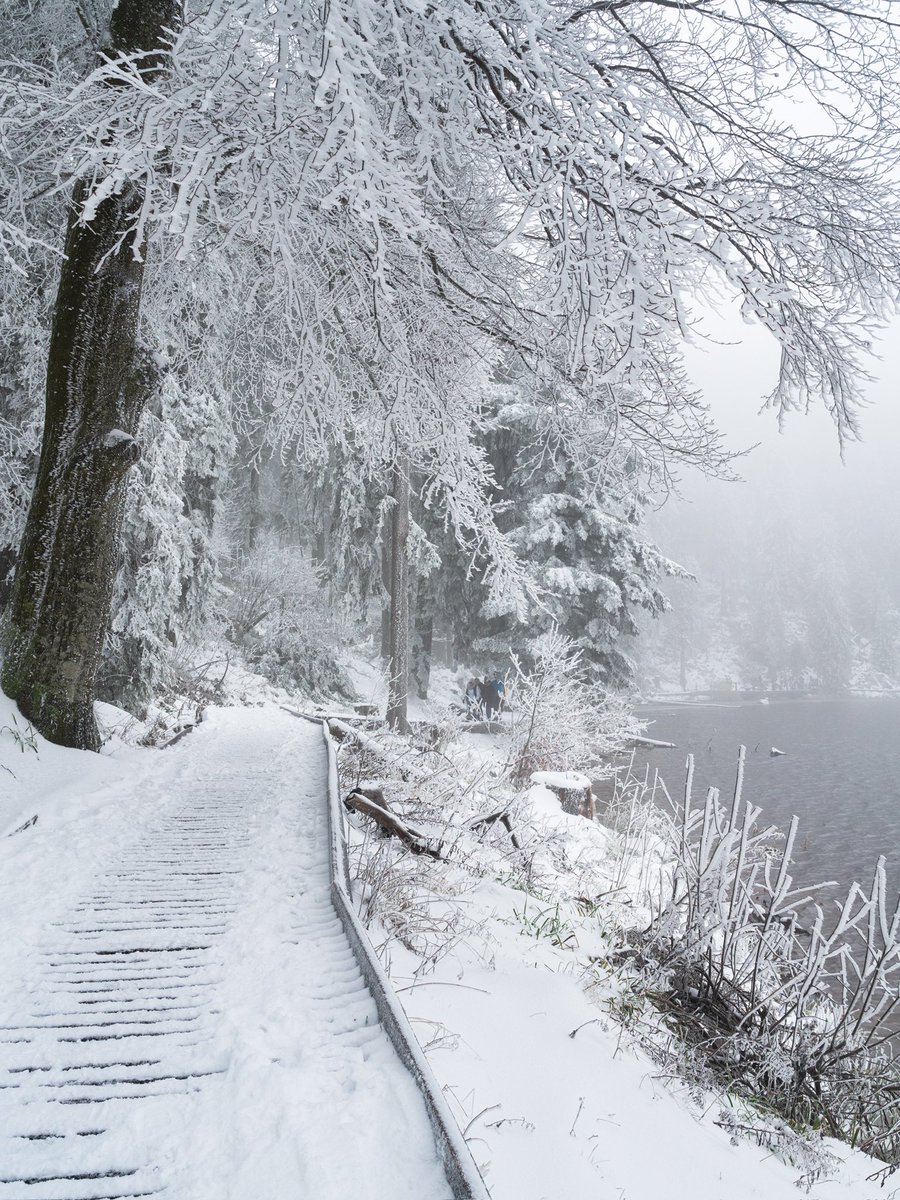 CedricSchell's tweet image. Aujourd’hui, j’ai réalisé une belle petite rando, à moins d’une heure de Strasbourg.