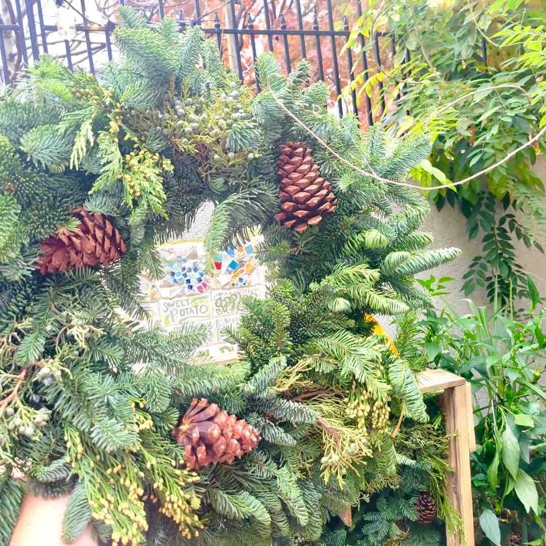 SouthPhillyFoodCo-op tweet media