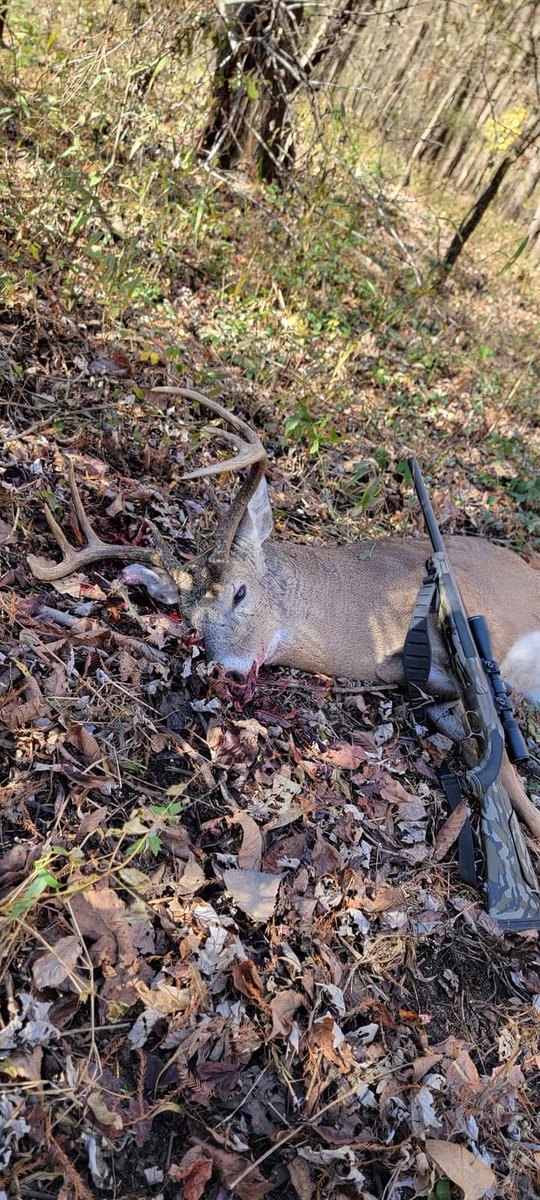lovers_hunting's tweet photo. 🦌 The old 30-30 dropped this guy at 8:30 this morning. ♥️🏹

#SeductiveSunday #VivaCristoRey #Sussexes #SundayFunday #sundayvibes #Olive #SouthCarolina #TheMet #TommyRobinson #TheMet #JESC2023 #Ferrari #hunting #Huntingdeer #deerhunting #deerseason #huntingseason https://t.co/VLzjkw2lnl