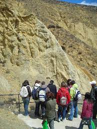 apanalis's tweet photo. 🏴󠁧󠁢󠁥󠁮󠁧󠁿 #Bueña #Jiloca Teruel> Yacimiento con huellas fósiles de Megaplanolites ibericus, gusanos gigantes prehistóricos y crustáceo gigante marinos de hace 90MLL de años. 

ℹ️Punto de interés arqueológico internacional y objeto de estudio de especialistas en biología, arqueología y paleontología.